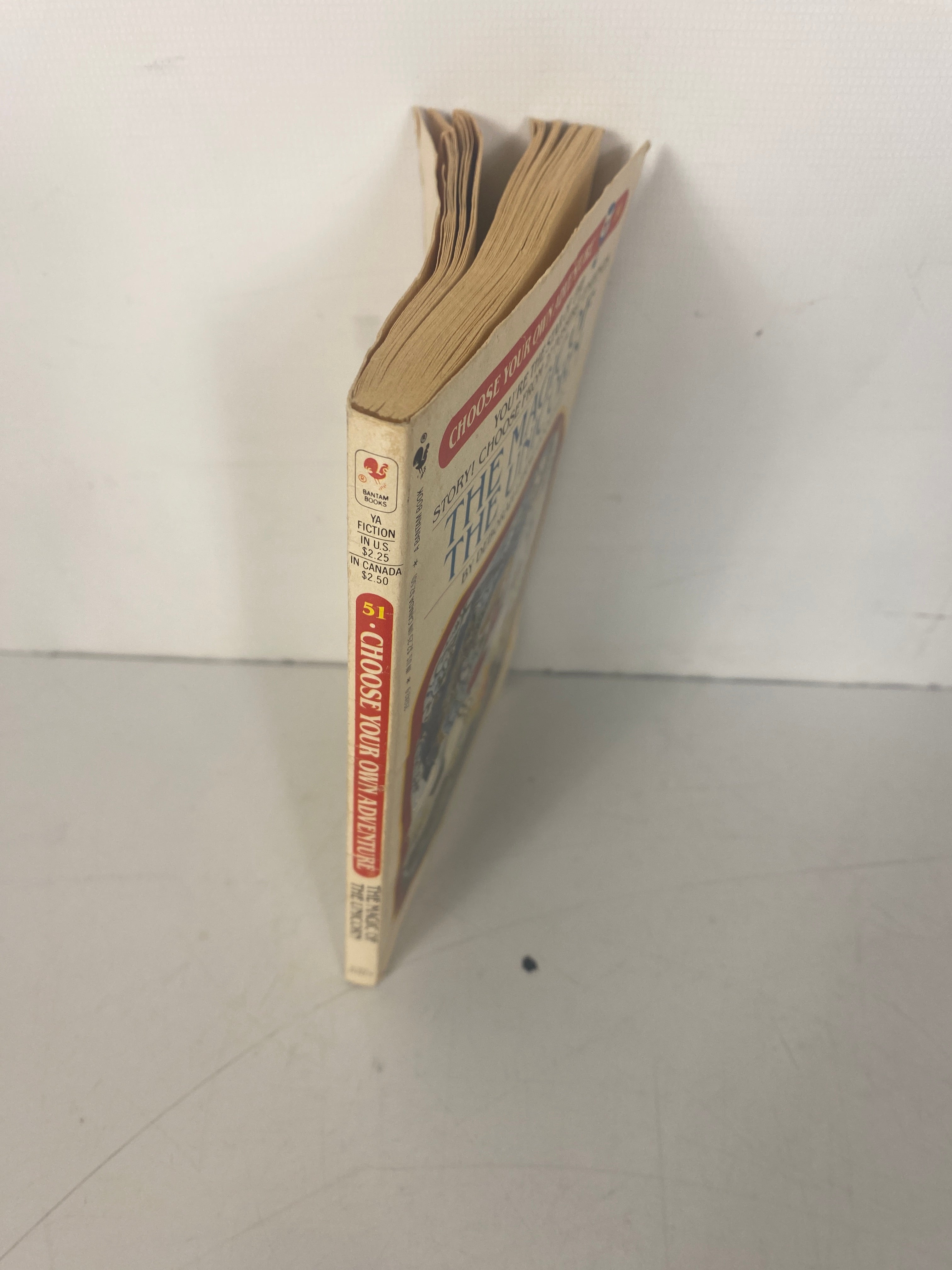 1985 Choose Your Own Adventure: The Unicorn's Magic Book