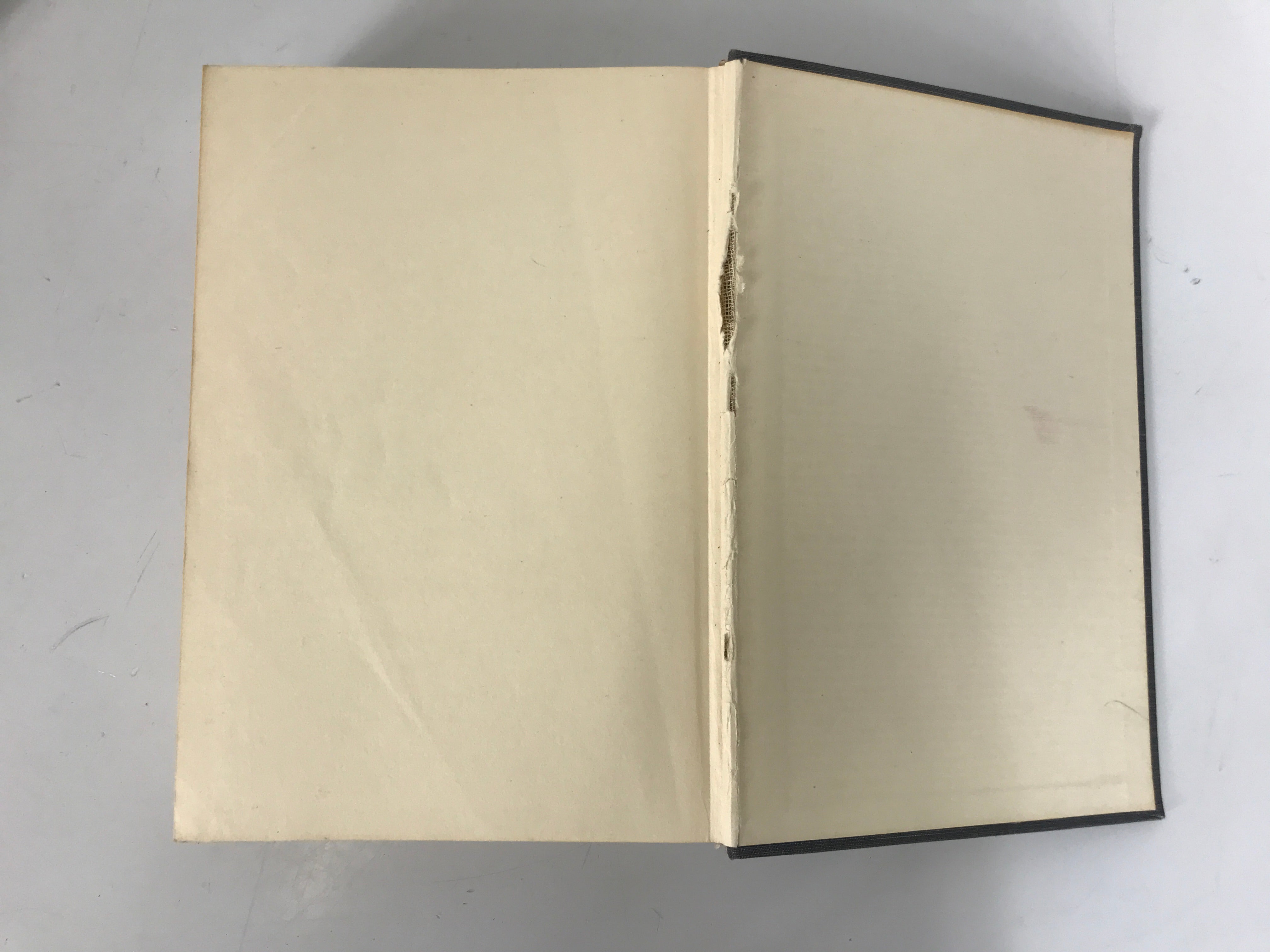 Bundle of 2 Nursing Textbooks: 1955-1956 Editions