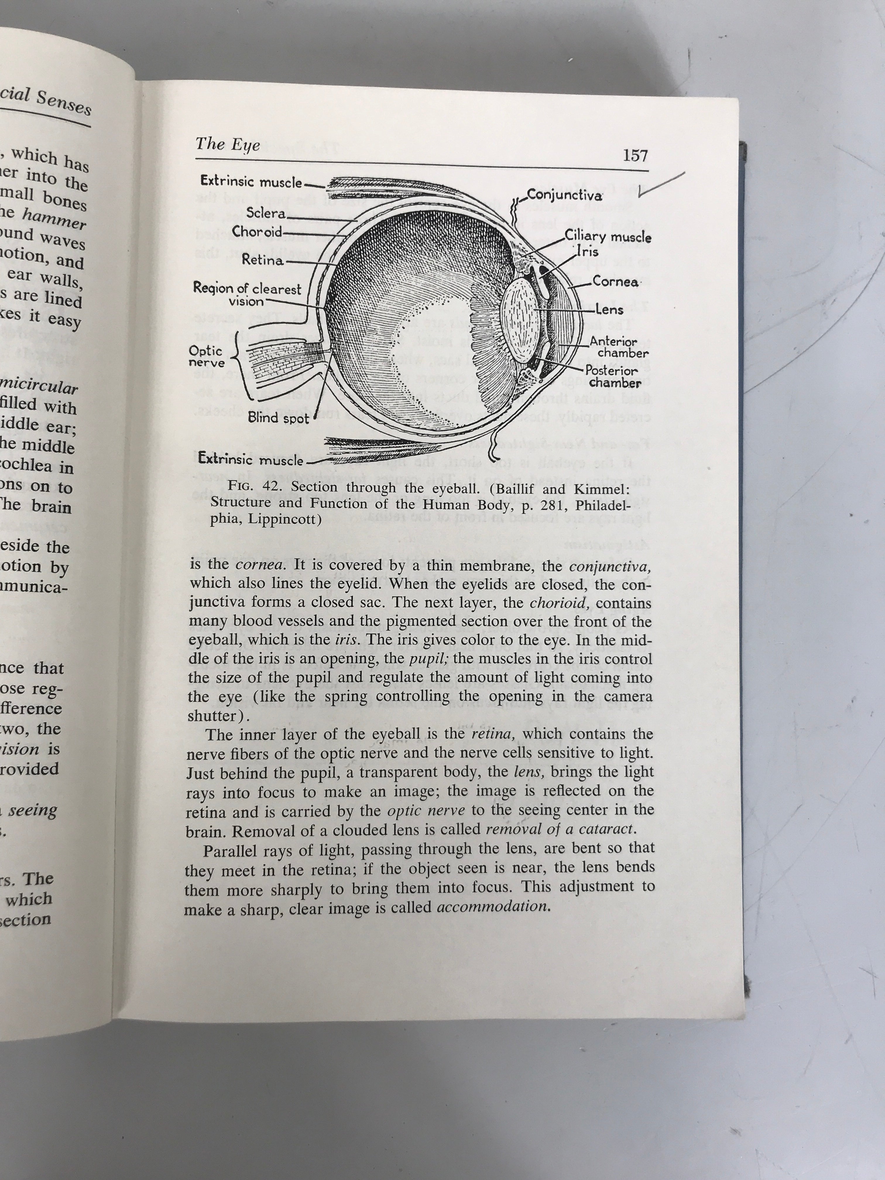 Bundle of 2 Nursing Textbooks: 1955-1956 Editions